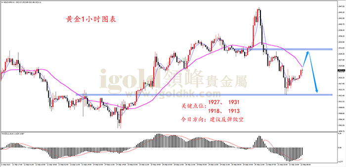 贵金属 黄金.png