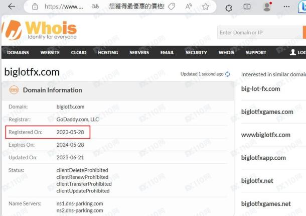 域名调查结果