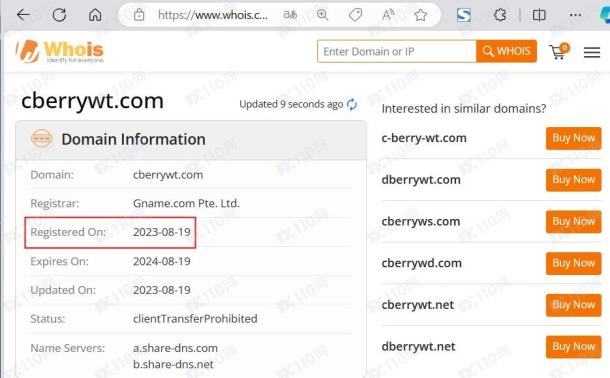 域名调查结果