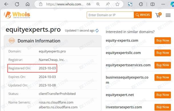 域名调查结果