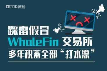 踩雷假冒WhaleFin交易所,多年积蓄全部“打水漂” 踩雷假冒WhaleFin交易所,多年积蓄全部“打水漂”