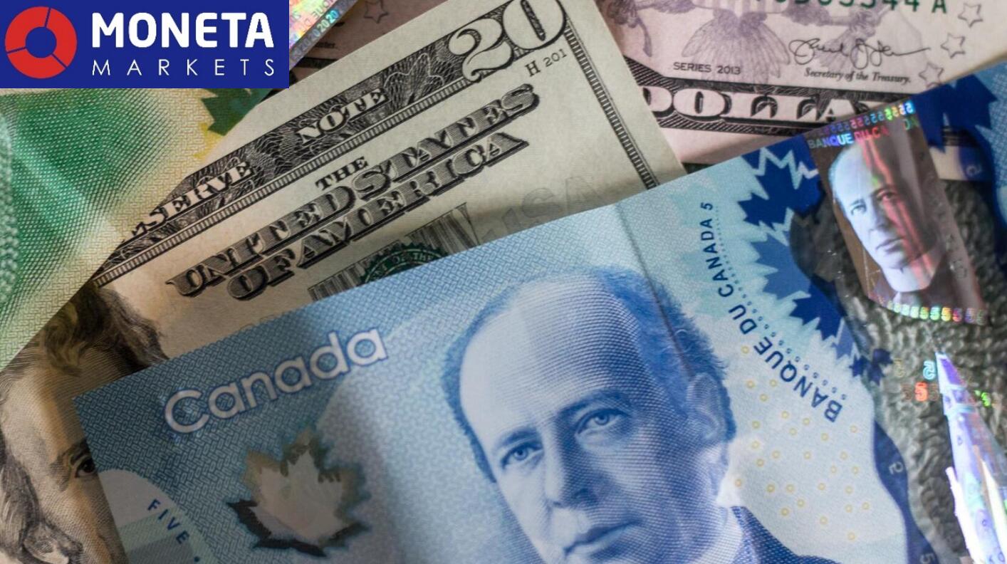 Moneta Markets 02月24日市场分析，美国服务业PMI创新低，加拿大零售销售强劲增长_交易商汇评