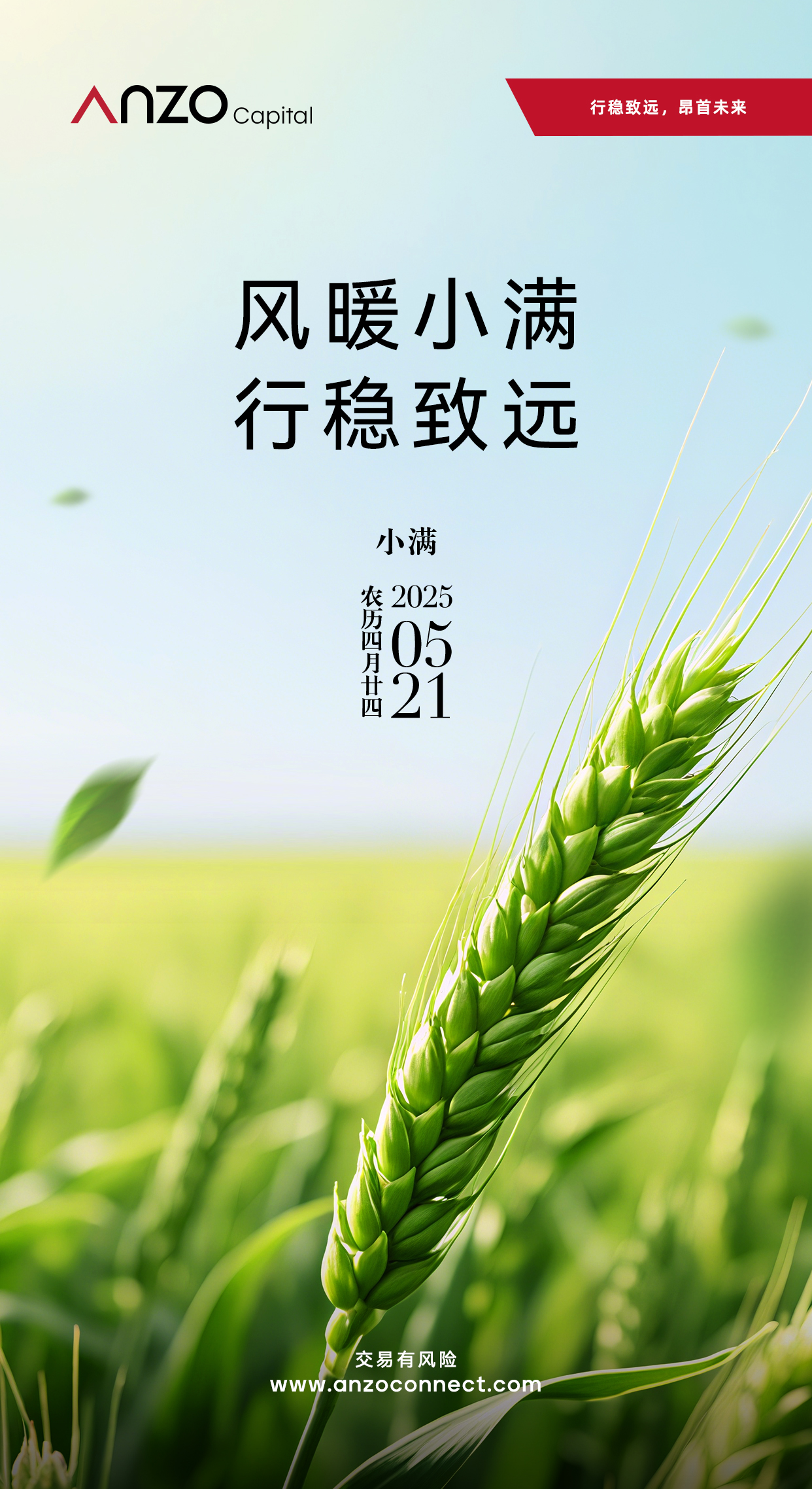 Anzo 小满海报_0514.jpg