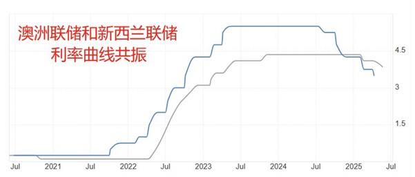 新.jpg