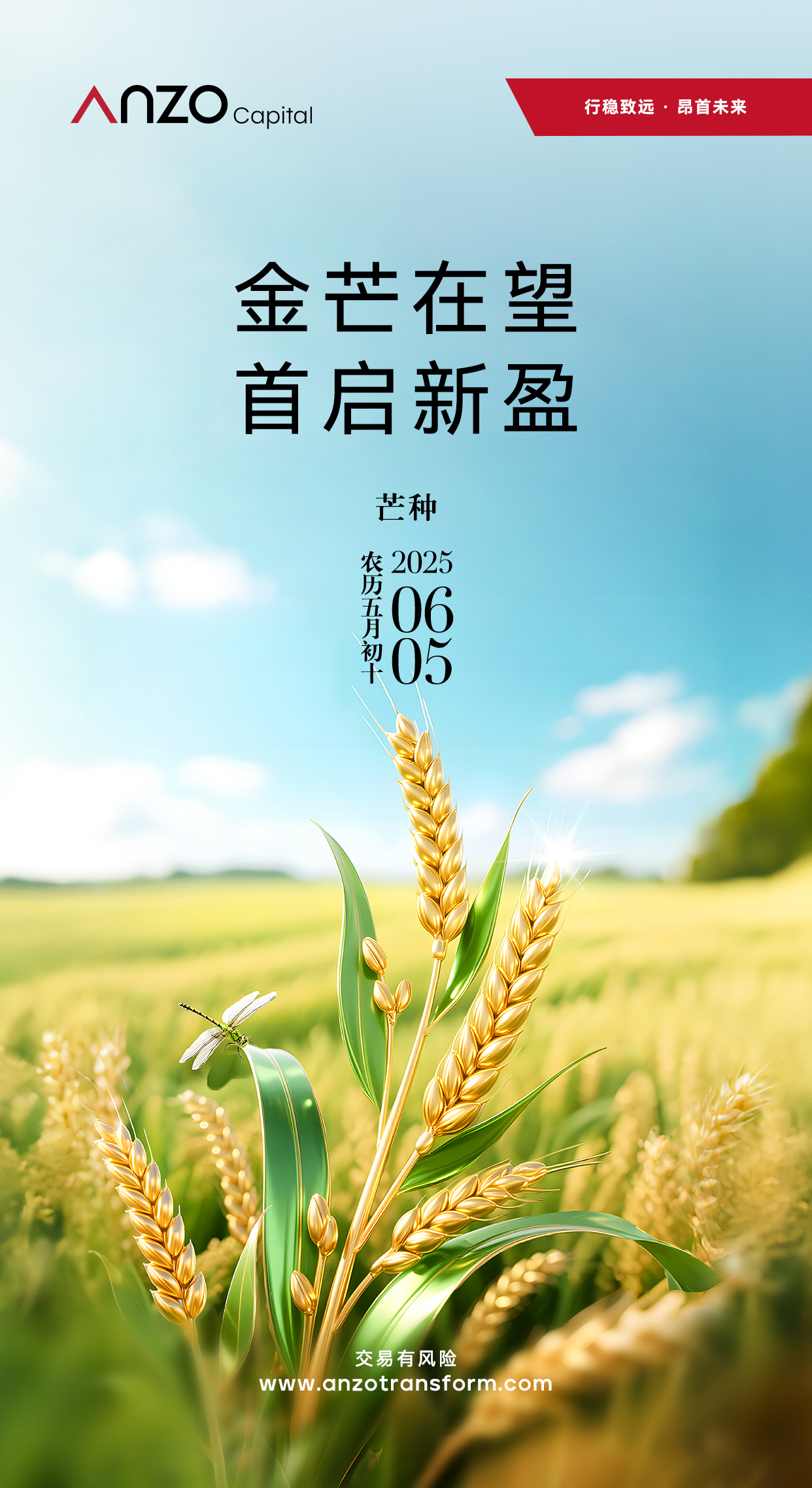 Anzo 芒种海报_0605.jpg.jpg