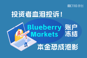 投资者血泪控诉！Blueberry Markets账户冻结，本金恐成泡影