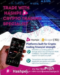 诈骗10亿！虚假加密货币平台“Hashpe”主谋落网
