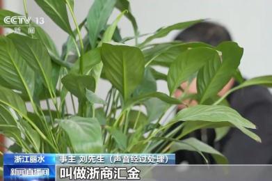 "导师"荐股稳赚?假券商APP派"收纳员"收现金,老人险失90万! "导师"荐股稳赚?假券商APP派"收纳员"收现金,老人险失90万!