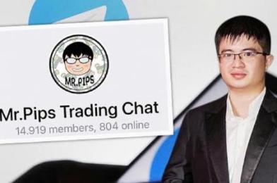 越南起诉550名销售人员 涉TikTok博主“Mr Pips”外汇骗局