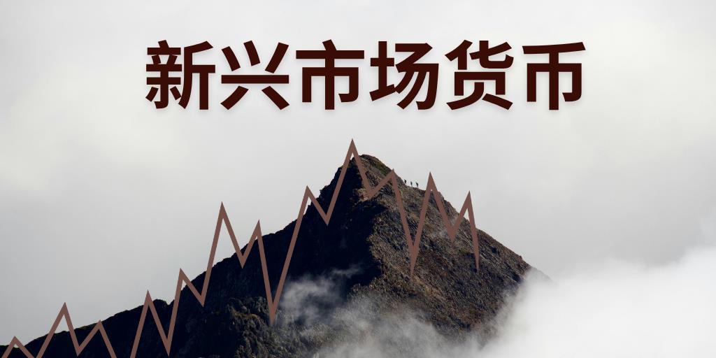 新兴市场货币：分化的路径，不对称的机遇