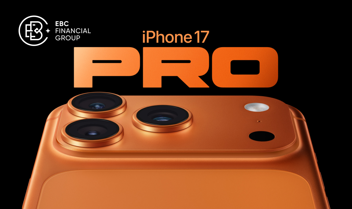 iPhone 17 Pro Max 感谢智慧同行.png