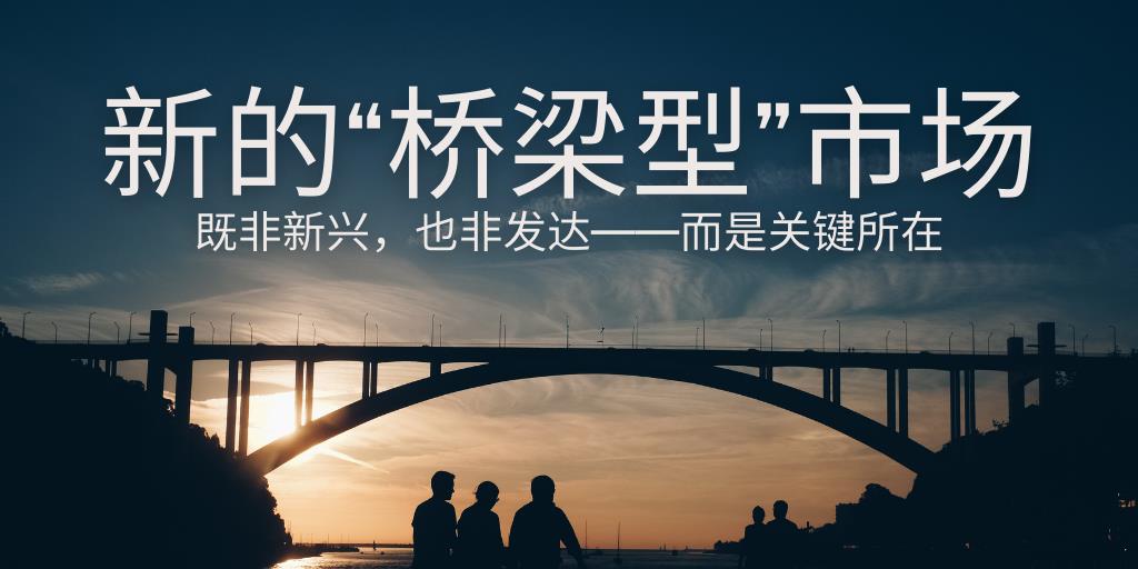 新的“桥梁型”市场：既非新兴，也非发达——而是关键所在