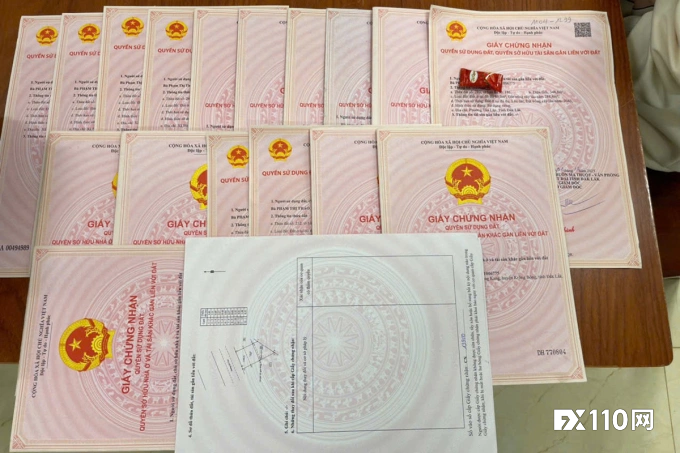 大快人心！越南1.3万亿金融骗局告破，两名主犯及从犯落网