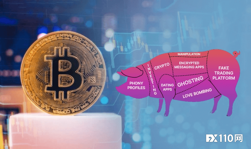 虚拟与情感的双重陷阱:2025年国际诈骗生态深度曝光