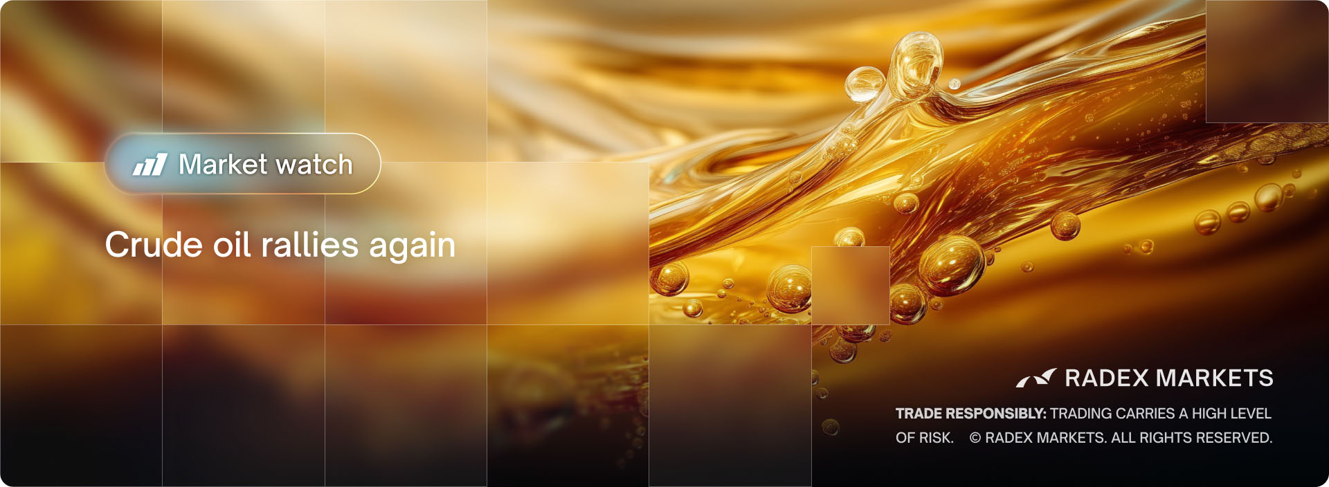 Crude-oil-rallies-again-Banner (1).jpg