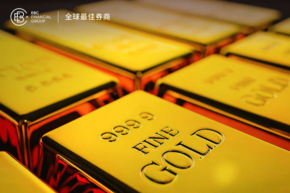 6..4-焦点封面pc-600_400 中简.png