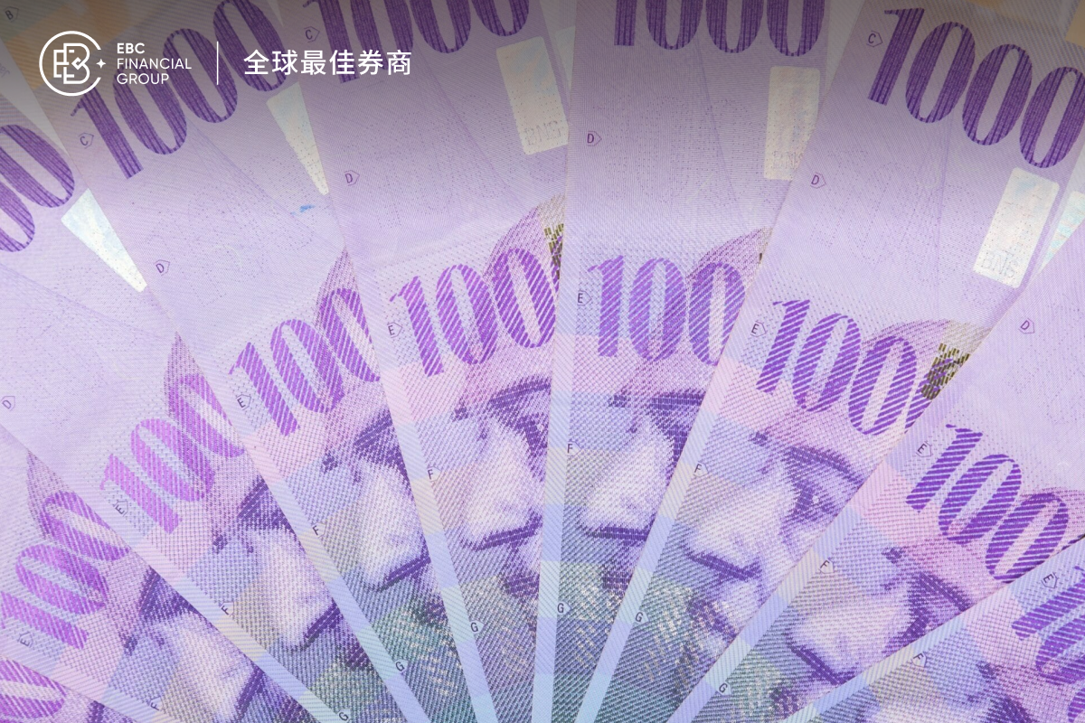 8.17-焦点封面pc-600_400 中简 1.png