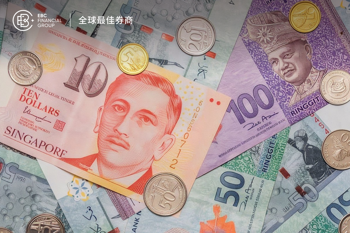 10.13-焦点封面pc-600_400 中简 1.png