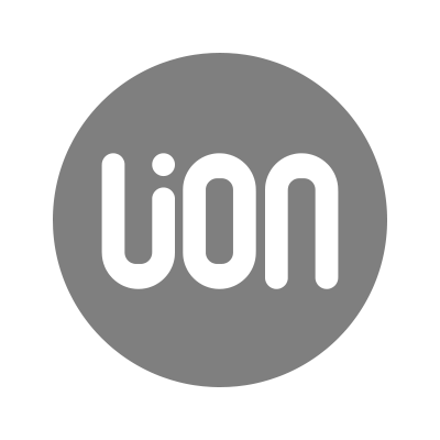 狮子金融集团 Lion Financial Group